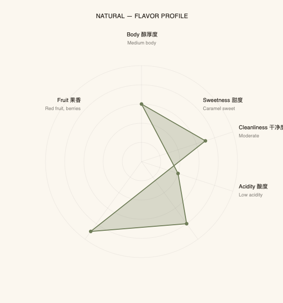 Flavor profile radar chart for Slow Mill Coffee Yunnan Natural Single Origin Coffee